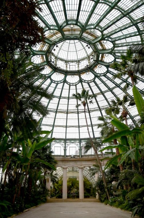 serres-royales-de-laeken (56)