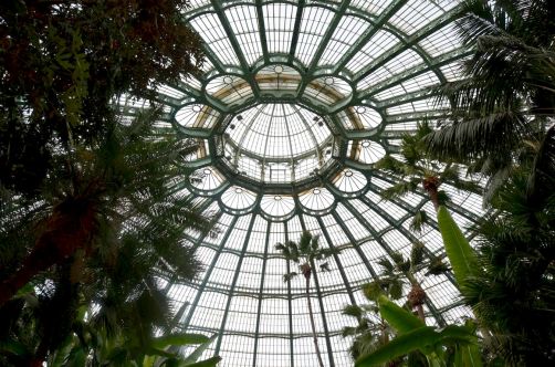 serres-royales-de-laeken (57)