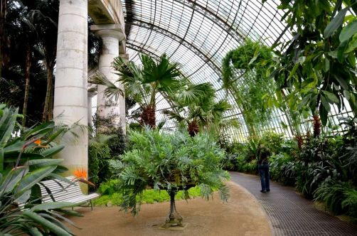 serres-royales-de-laeken (59)