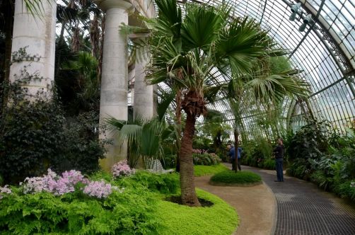 serres-royales-de-laeken (60)