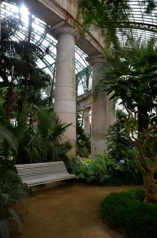 serres-royales-de-laeken (61)