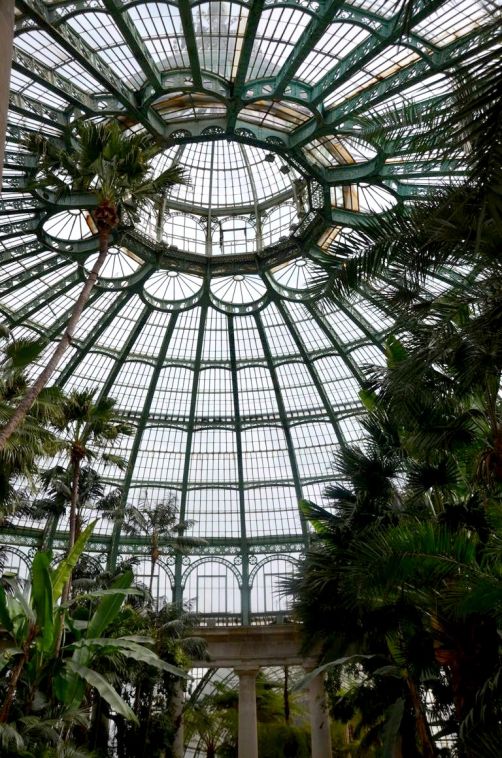 serres-royales-de-laeken (64)