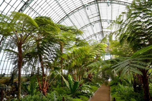 serres-royales-de-laeken (65)