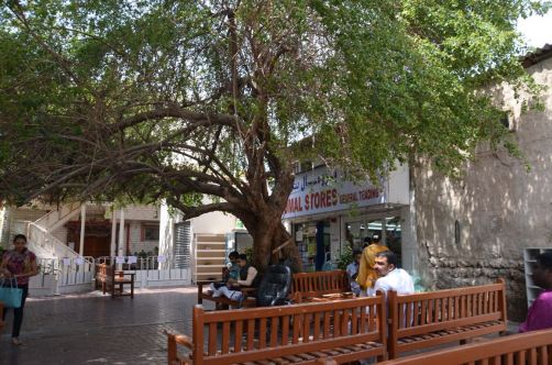 vieux-dubai-souks (38)