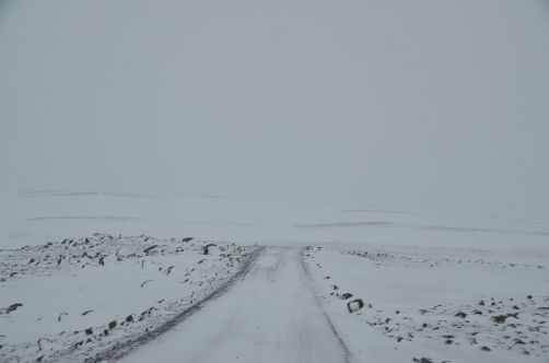 escale-en-islande (101)