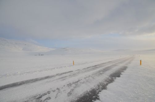 escale-en-islande (13)