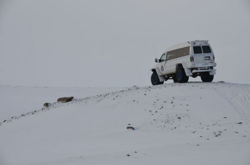 escale-en-islande (27)