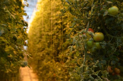 escale-en-islande (43)