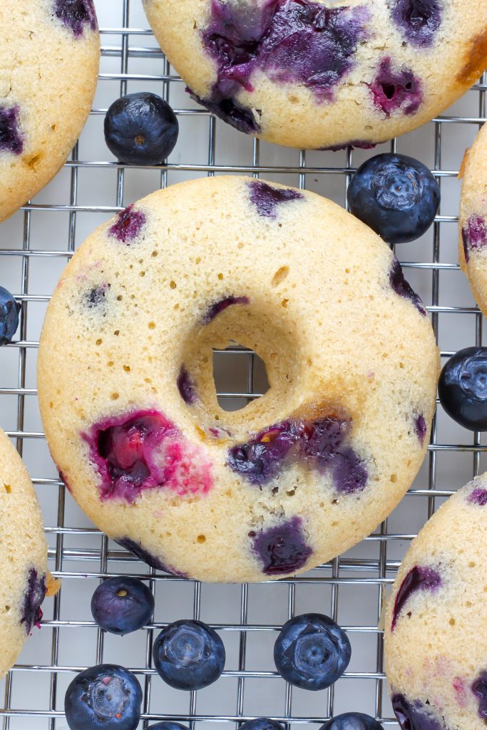 Blueberry Cinnamon Sugar Donuts with Vanilla Glaze - Oh man these are amazing!
