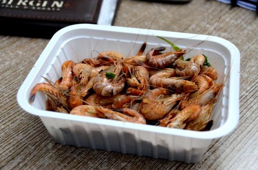 pecheurs-de-crevettes-a-cheval-coxyde (76)