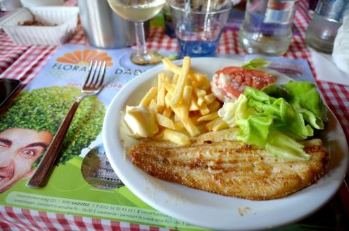 pecheurs-de-crevettes-a-cheval-coxyde (79)