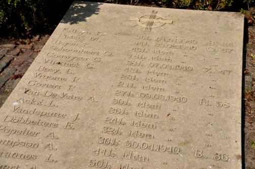 pecheurs-de-crevettes-a-cheval-coxyde (88)