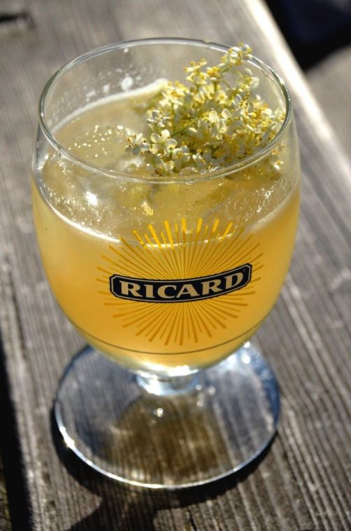 ricard (7)