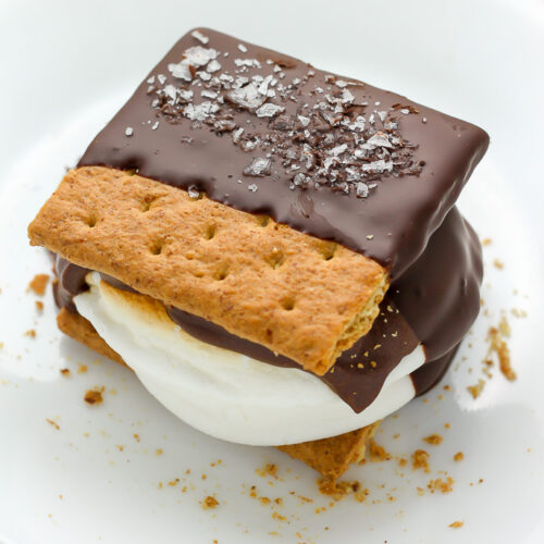 Chocolate Covered S'mores