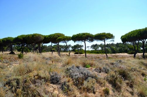 hotel-the-oitavos-cascais (103)