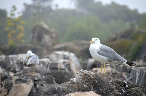 hotel-the-oitavos-cascais (272)