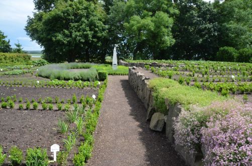 palais-mazurie (354)