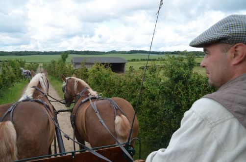 palais-mazurie (537)