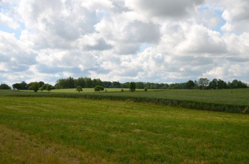 palais-mazurie (558)