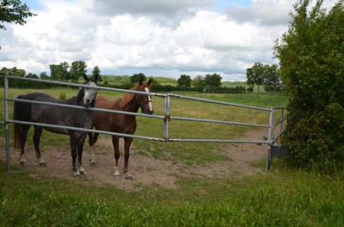 palais-mazurie (563)