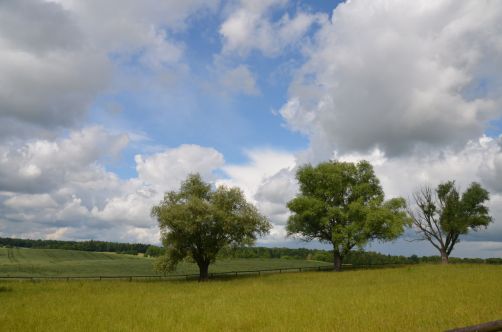 palais-mazurie (566)