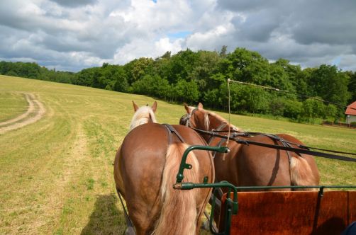 palais-mazurie (580)