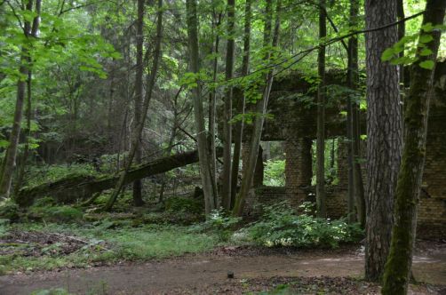 pologne-mazurie (259)