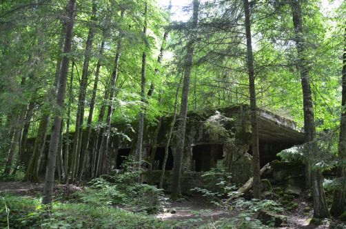 pologne-mazurie (285)