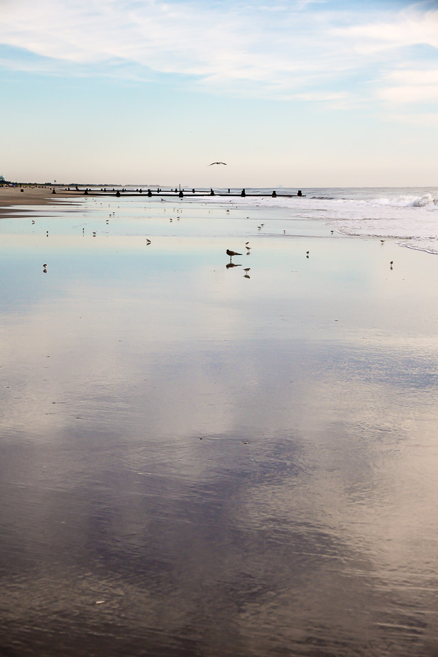 Snaps from Stone Harbor