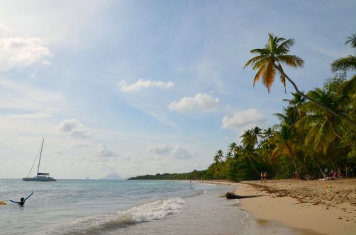 plages-de-martinique-10