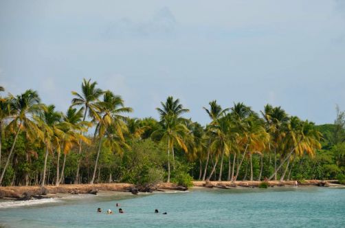 plages-de-martinique-11