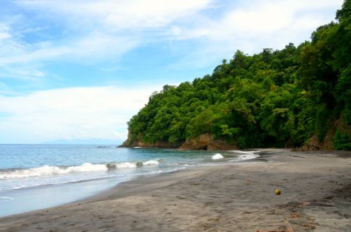 plages-de-martinique-3