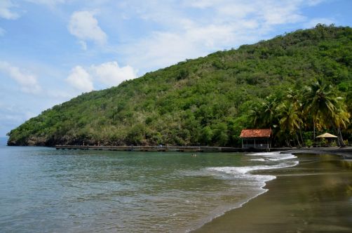 plages-de-martinique-6