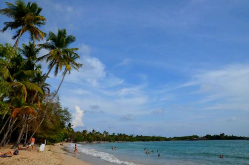 plages-de-martinique-9