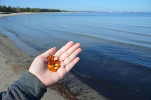 La région de Gdansk est connue pour son ambre, "l'or de la Baltique". A récolter sur les plages... avec un peu de chance !