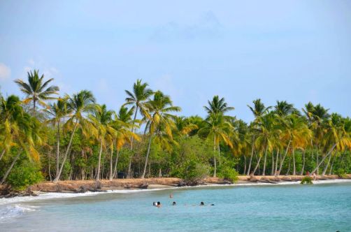 martinique (1038)