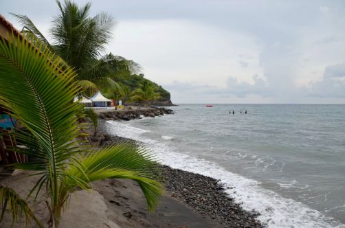 martinique (456)