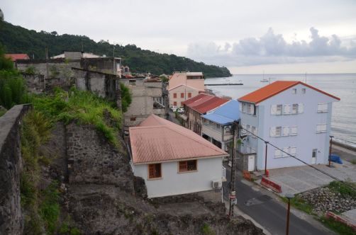 martinique (503)
