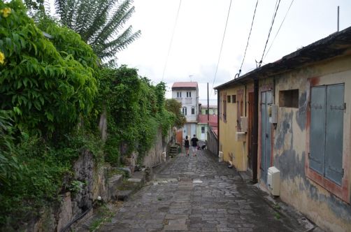 martinique (554)
