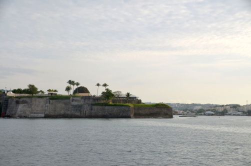 martinique (651)