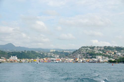 martinique (781)