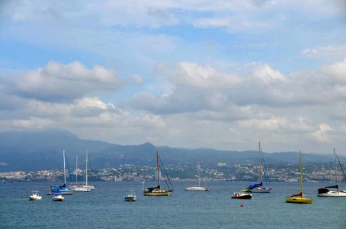 martinique (788)