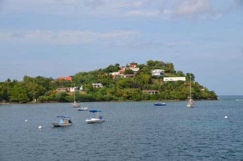 martinique (796)