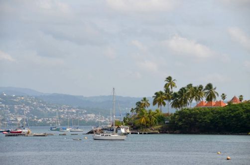 martinique (801)