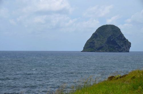 martinique (980)