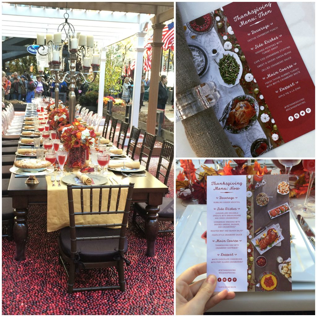 Cranberry Crumb Cake