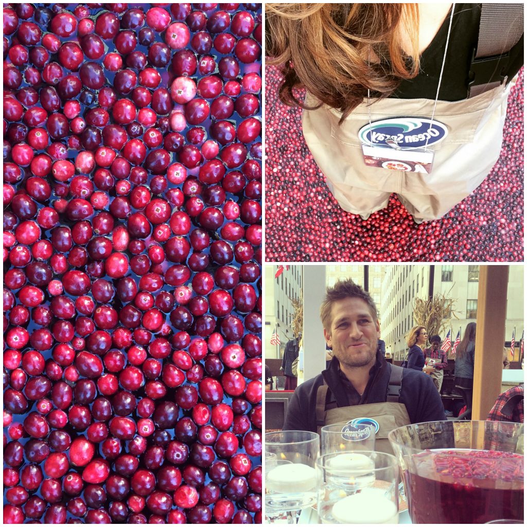 Cranberry Crumb Cake