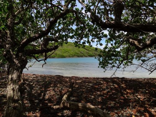 sud-atlantique-martinique (16)