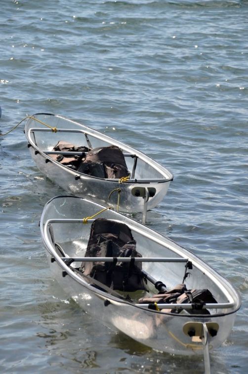 sud-atlantique-martinique (42)