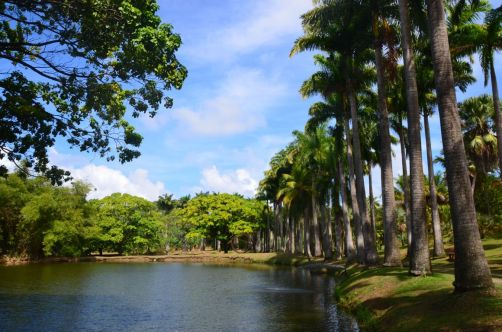 sud-atlantique-martinique (47)
